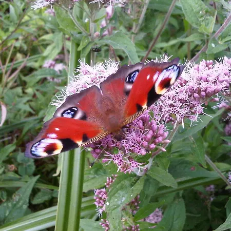 A La Campagne, Au Calme 3* Monterolier