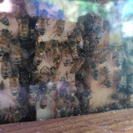 住宿加早餐酒店 A La Campagne, Au Calme 3*