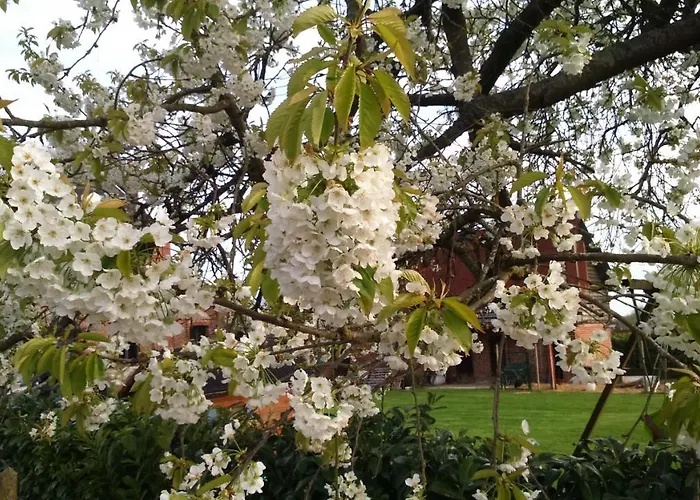 Bed & Breakfast A La Campagne, Au Calme 3*