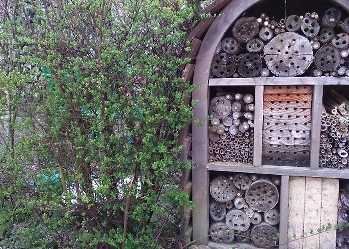 Bed & Breakfast A La Campagne, Au Calme Monterolier