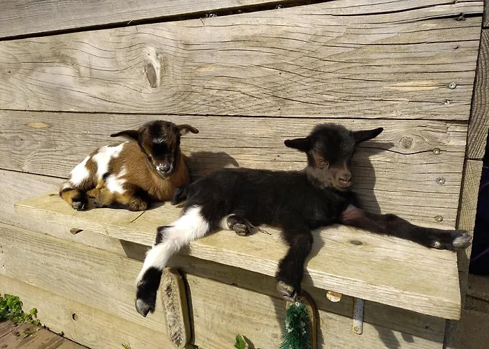 A La Campagne, Au Calme